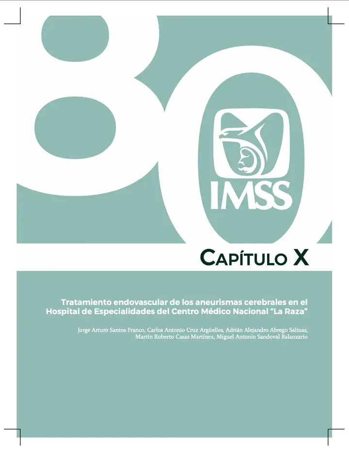 Imagen del documento: Tratamiento endovascular de los aneurismas cerebrales en el Hospital de Especialidades del Centro Médico Nacional «La Raza»