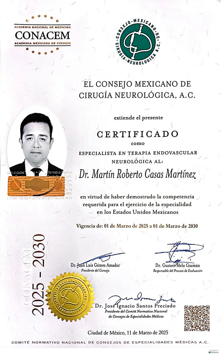 Imagen del documento: Certificado como Especialista en Terapia Endovascular Neurológica